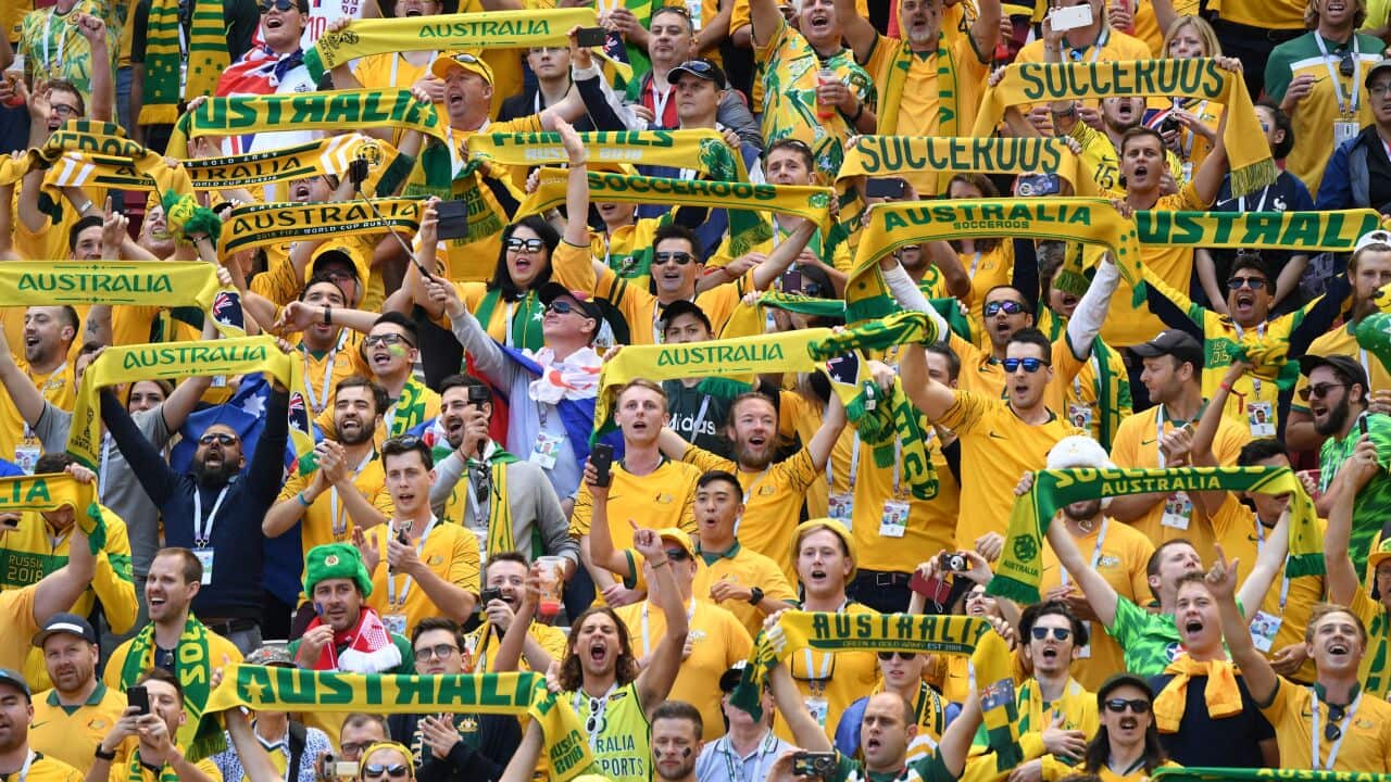 Image for read more article 'READ MORE'