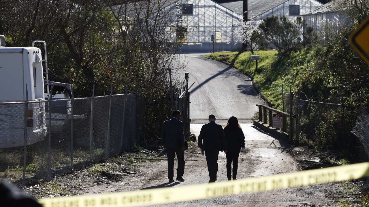 USA SHOOTING NORTHERN CALIFORNIA