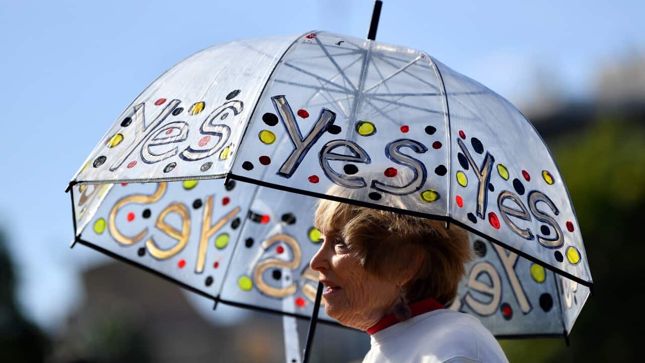 YES 23 VOICE CAMPAIGN SYDNEY