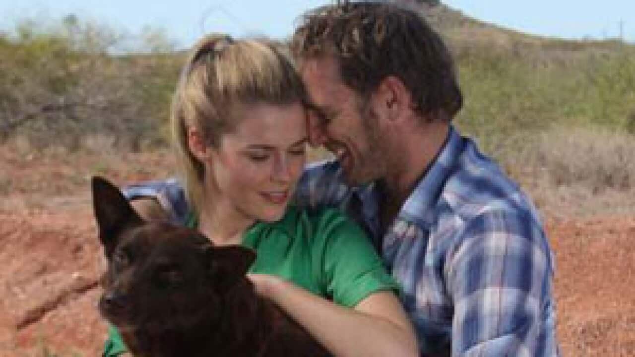 Red-Dog_301_IF_1535541692