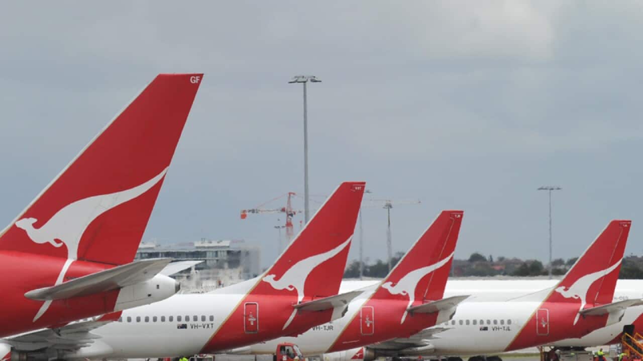 Qantas planes at Sydney Airport