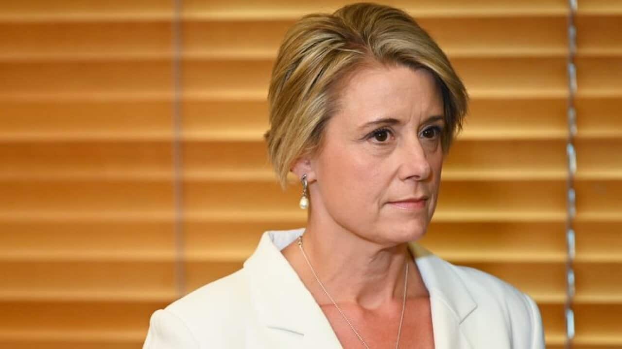 سناتور کریستینا کینیلی