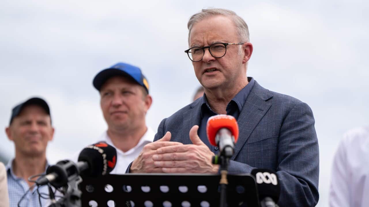 ANTHONY ALBANESE CAIRNS VISIT