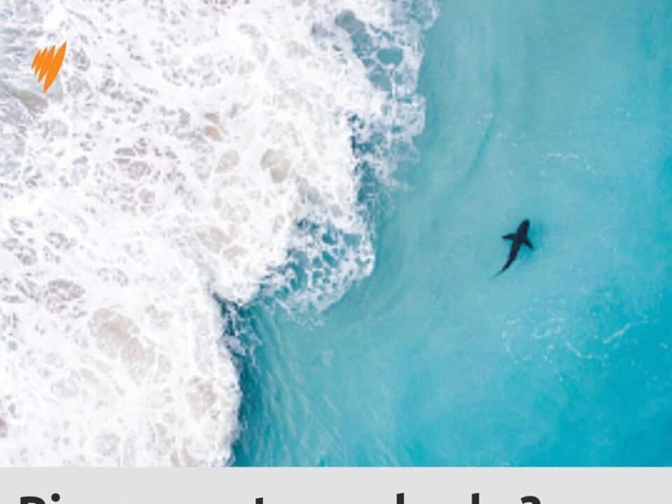Australia beach threat_photo post