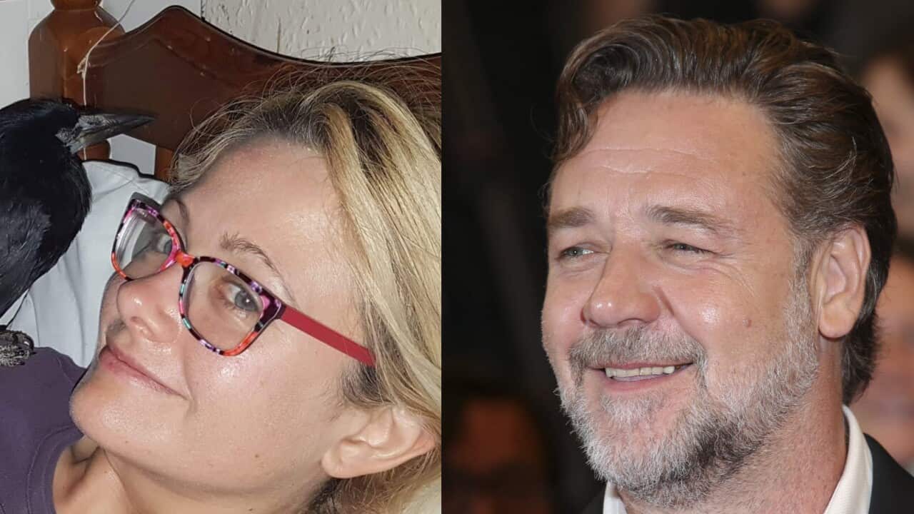 Russell Crowe says hello online to a bird named after him.