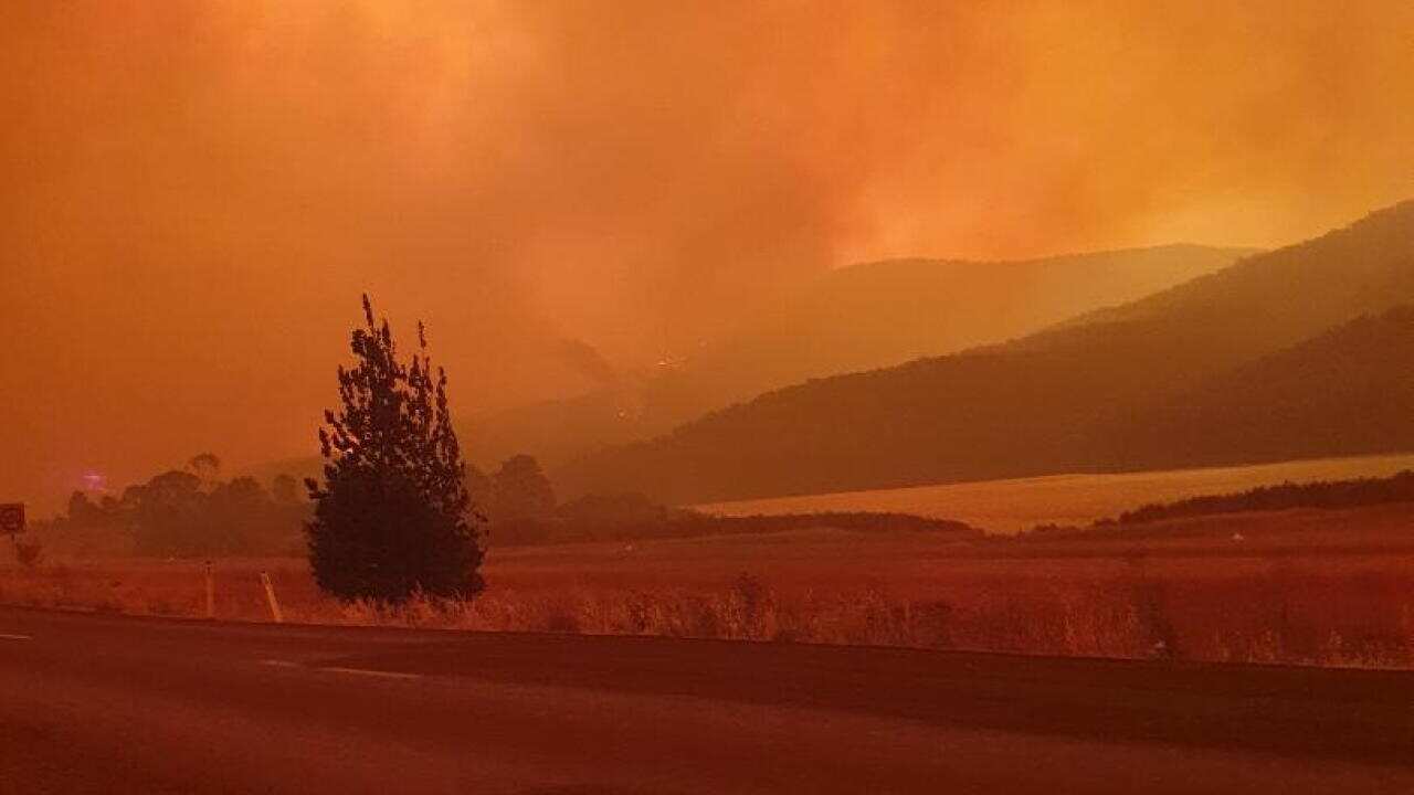 Zaklina Mihajlova, Talbingo fire,