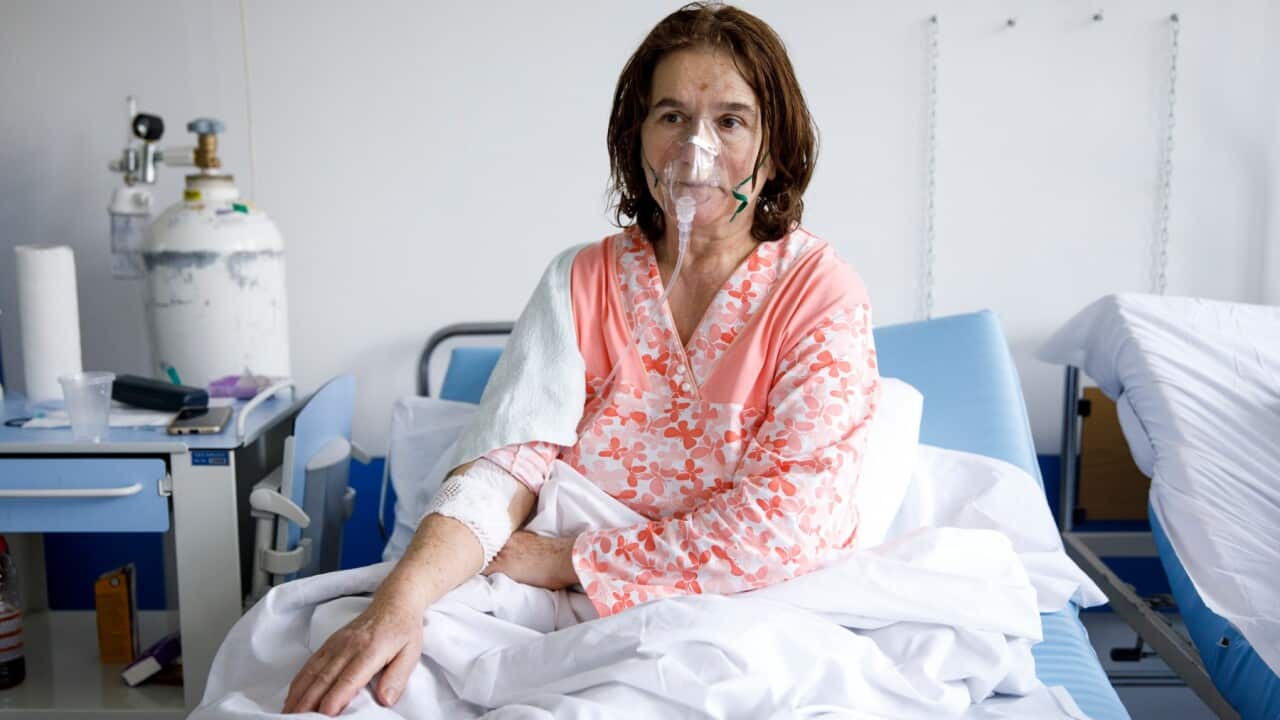 Homeland report, SBS Macedonian,