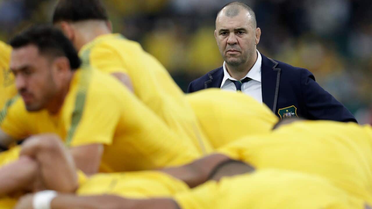 Australia coach Michael Cheika watches as his team warm up at Oita stadium