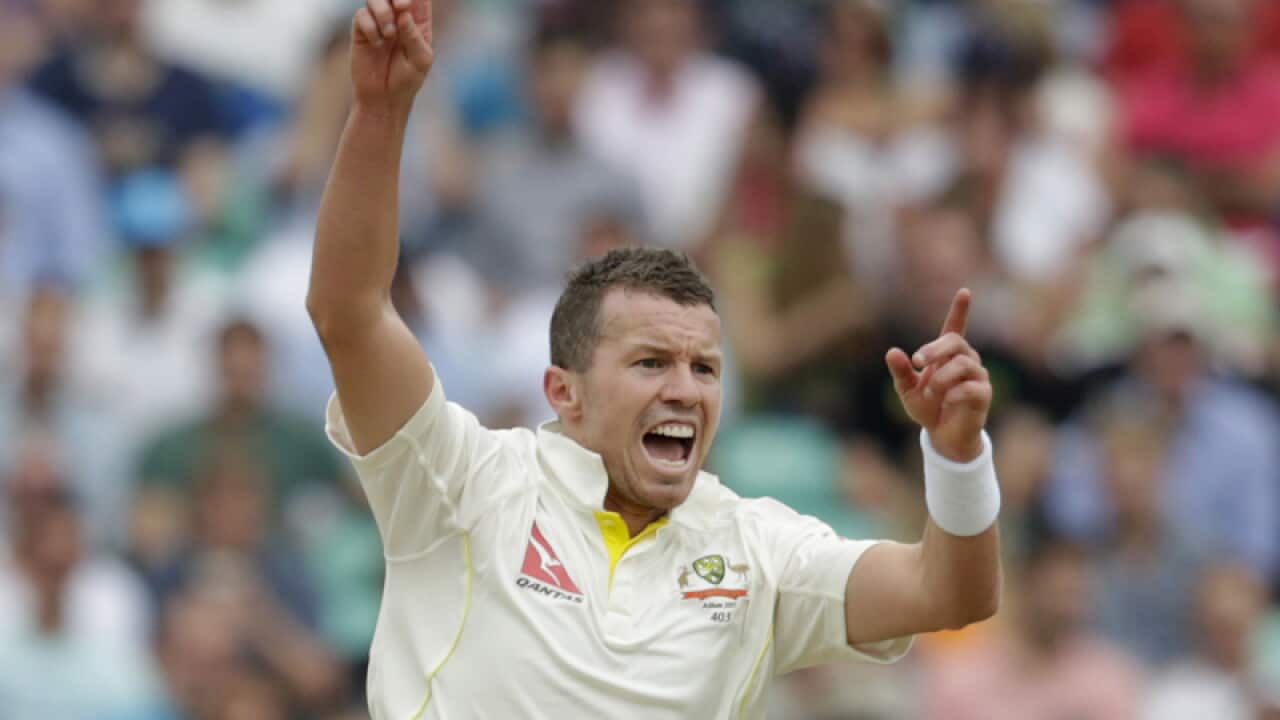 Australian bowler Peter Siddle