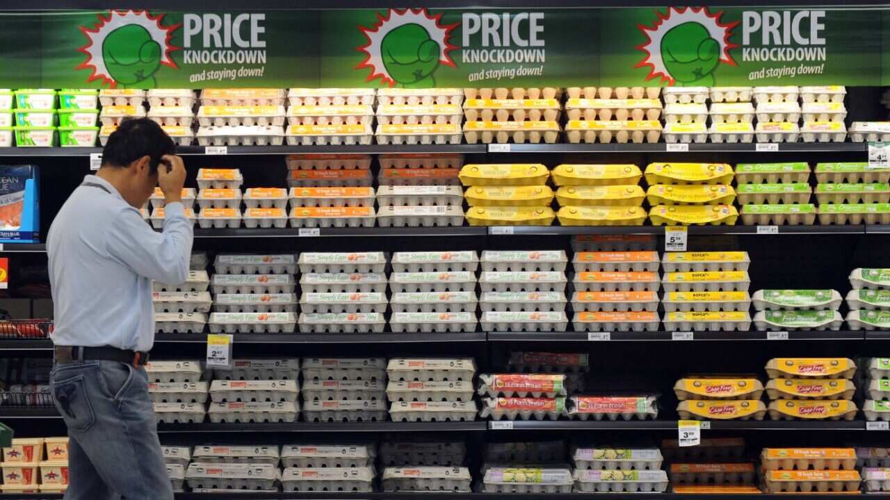 File image of a shopper inspecting eggs inside a grocery store