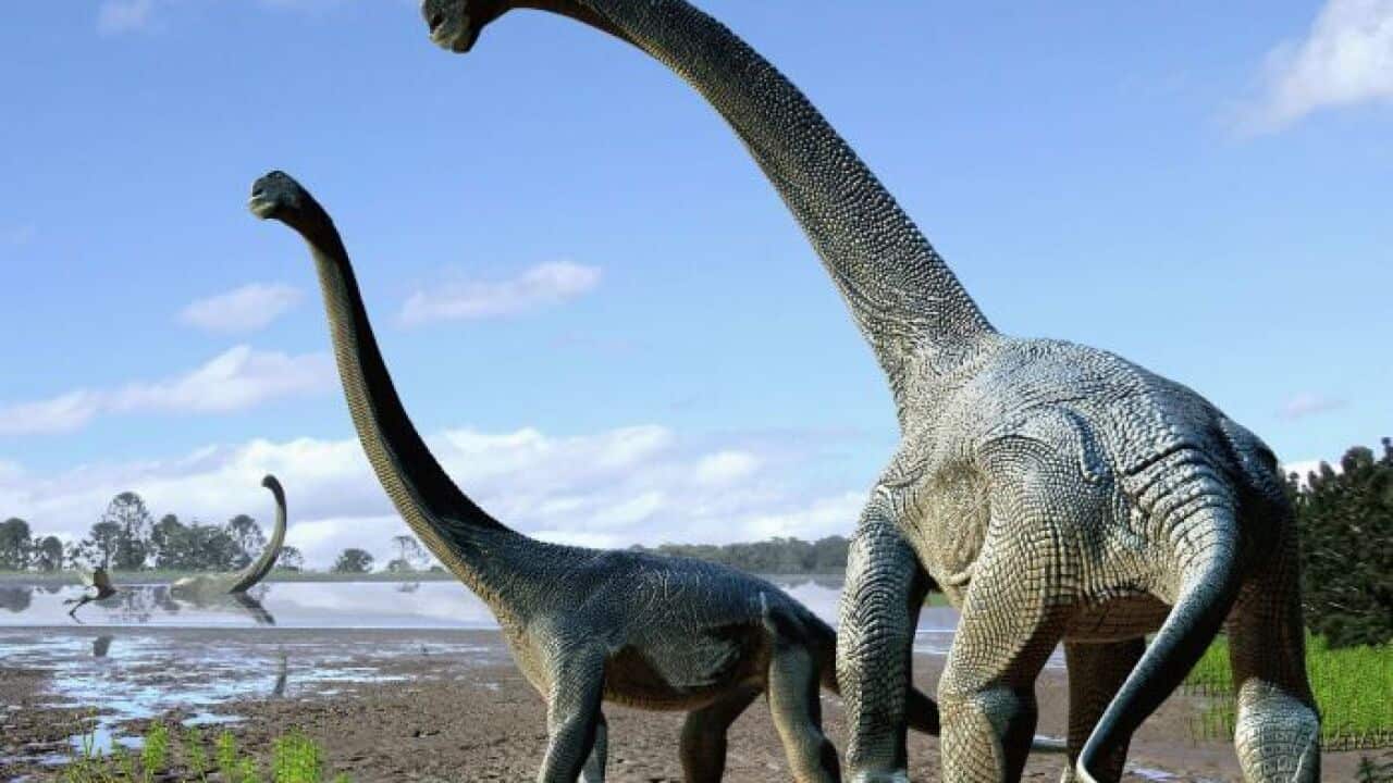 Artist's impression of the newly discovered dinosaur.