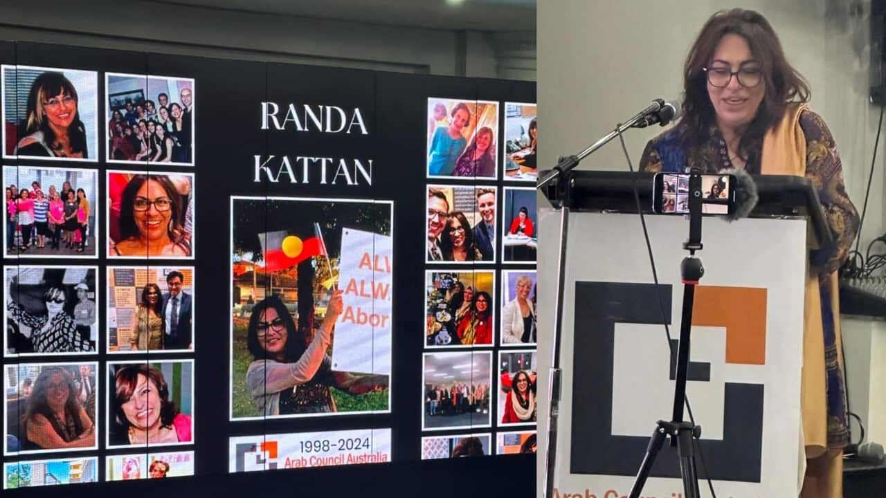 rANDA kATTAN.jpg