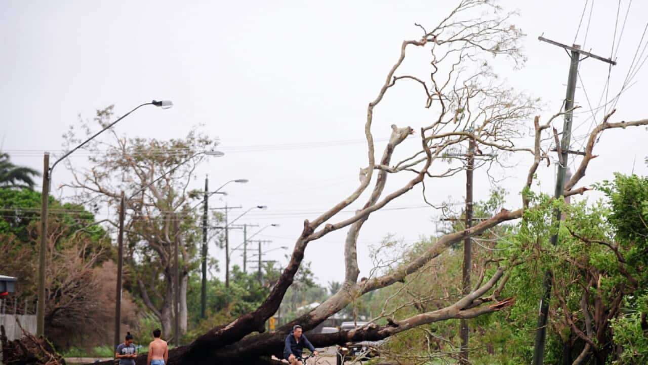 yasi_trees_down_L_110203_getty_1627459908