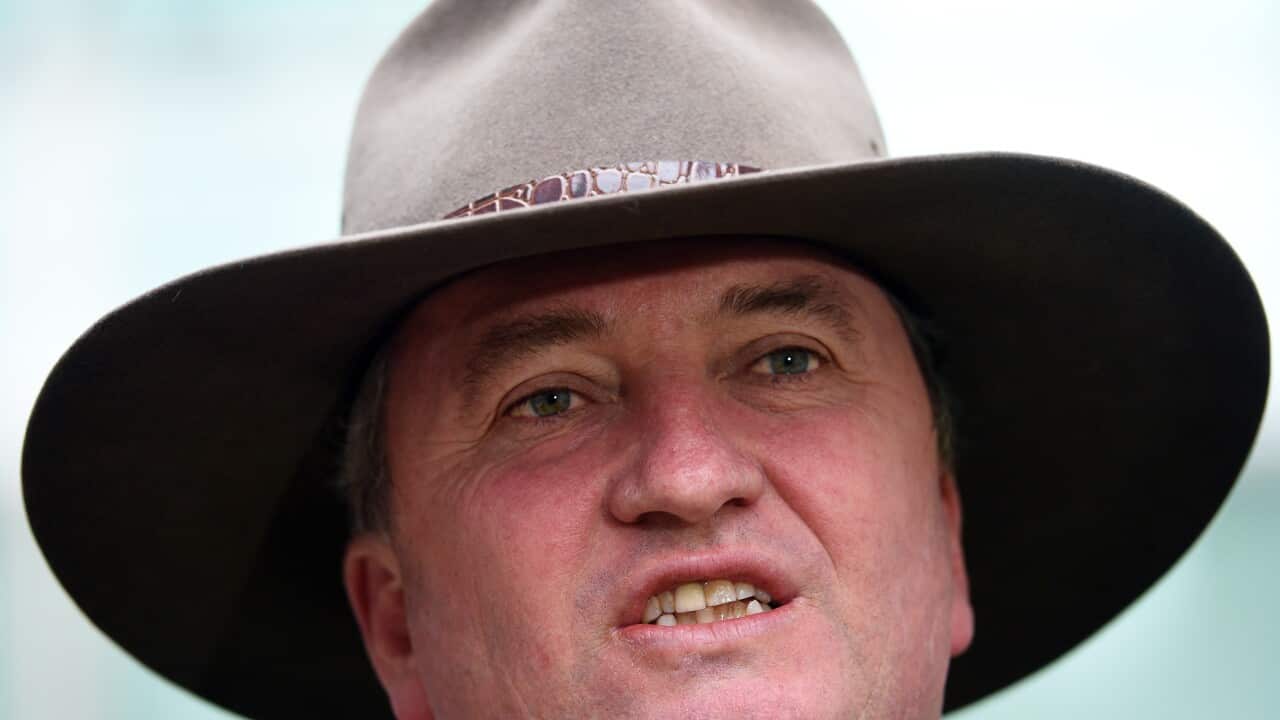 Deputy Prime Minister and Minister for Agriculture and Water Resources Barnaby Joyce at a press conference at Parliament House in Canberra, Wednesday, Nov. 23, 2016. (AAP Image/Mick Tsikas) NO ARCHIVING