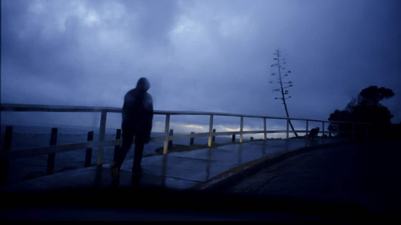 A man walks his dog in Sydney