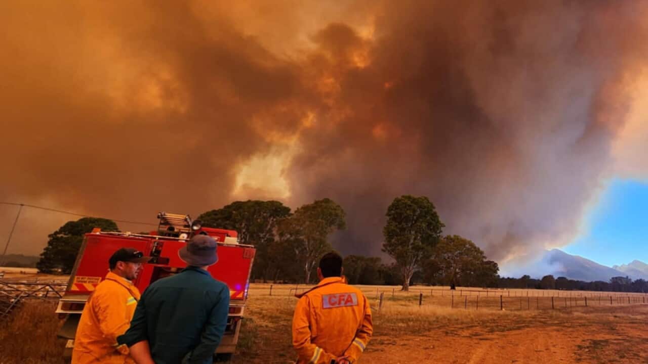 BUSHFIRES VICTORIA