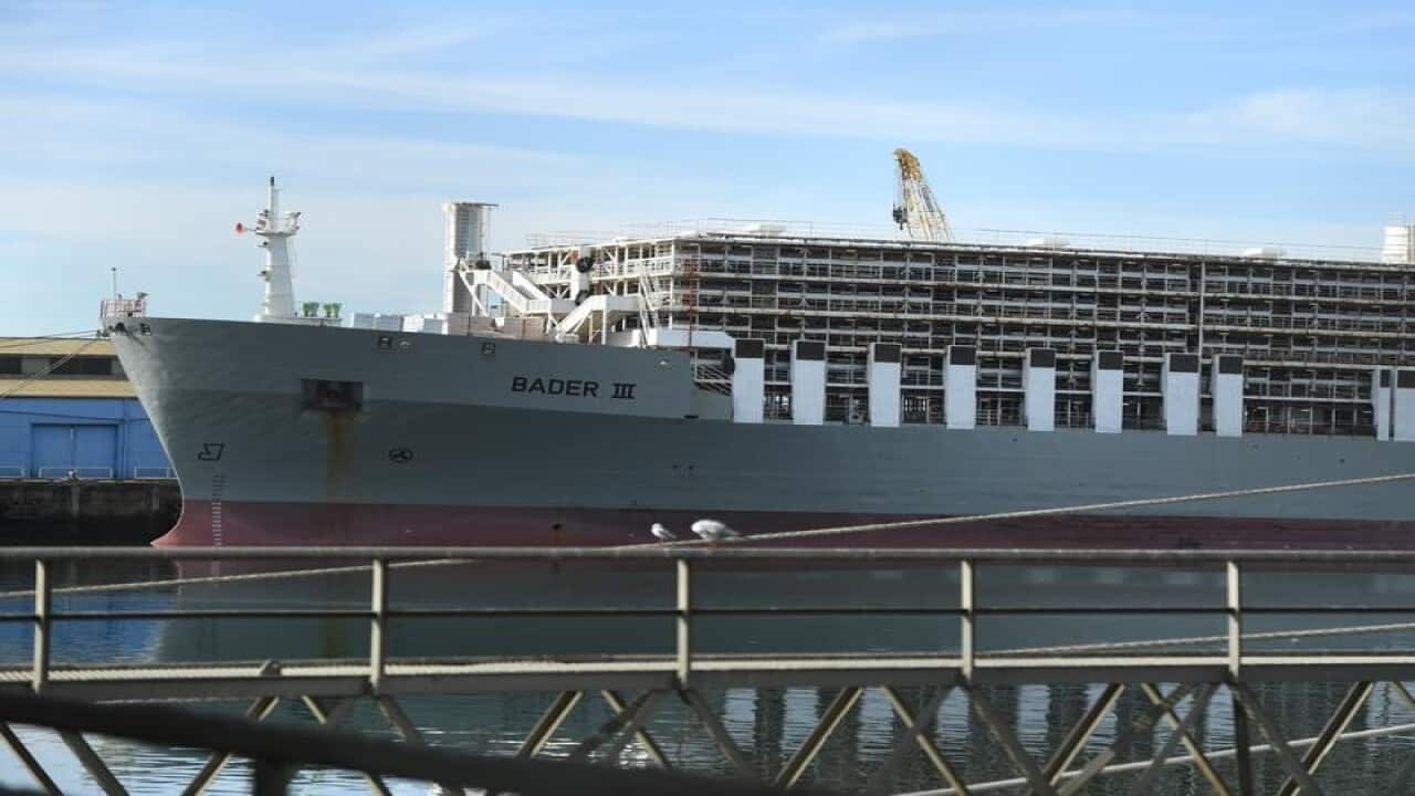 This is a file image of livestock transport ship, Bader lll.