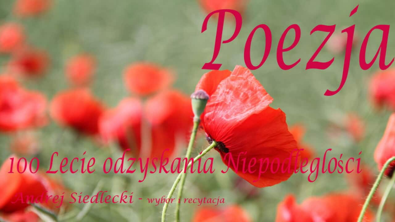 100 Lecie Niepodleglosci Polski