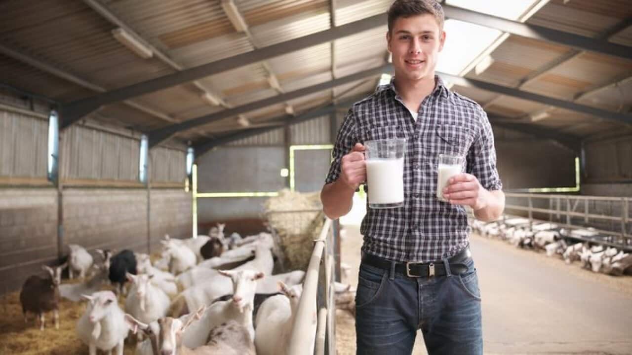 Image for read more article ''