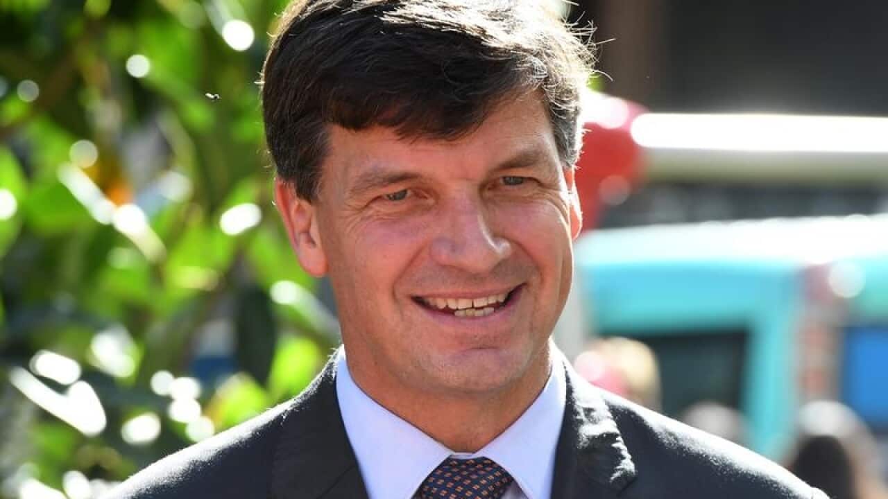 Federal frontbencher Angus Taylor