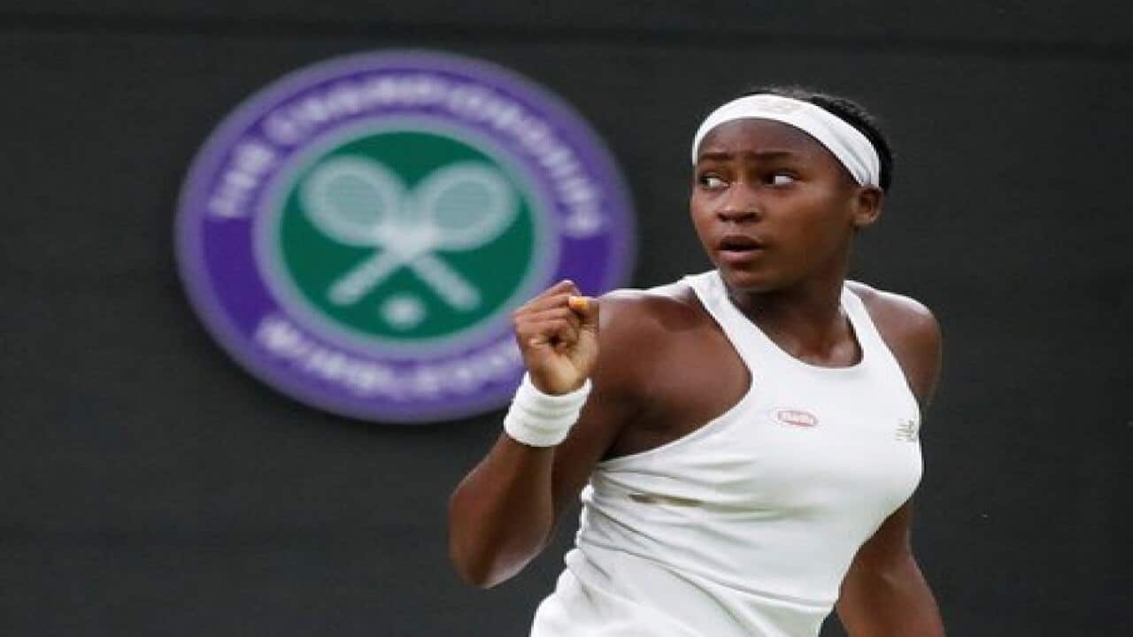 'Superstar' Gauff tipped for top five in five years - Wilander