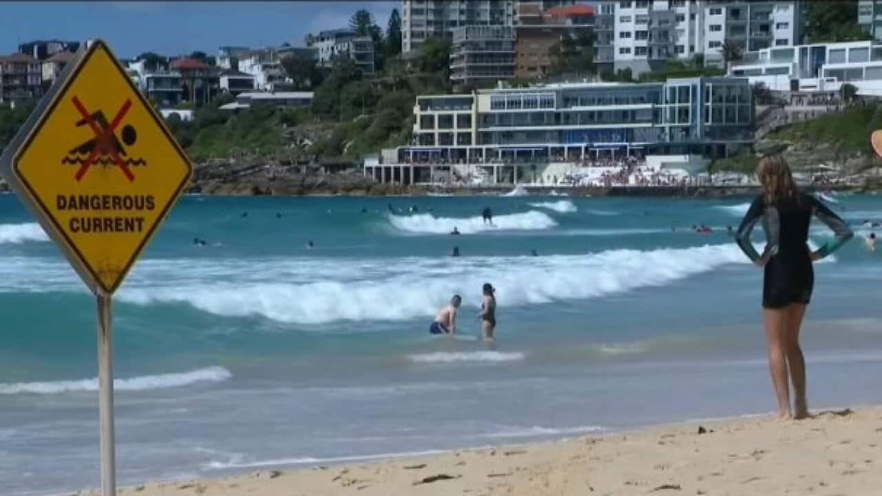 Drownings across several states prompt renewed warnings from life savers