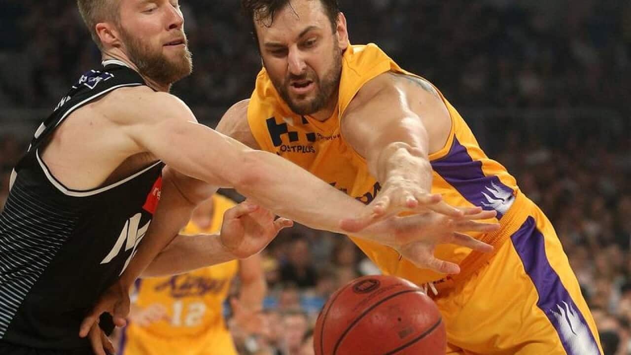 Andrewq Bogut