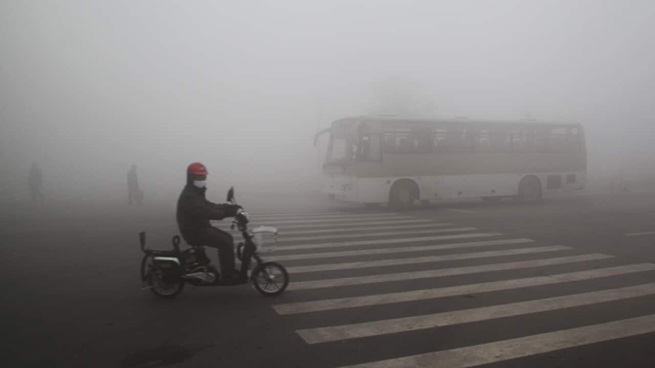 A cyclist rides on a road in heavy smog in Harbin city.