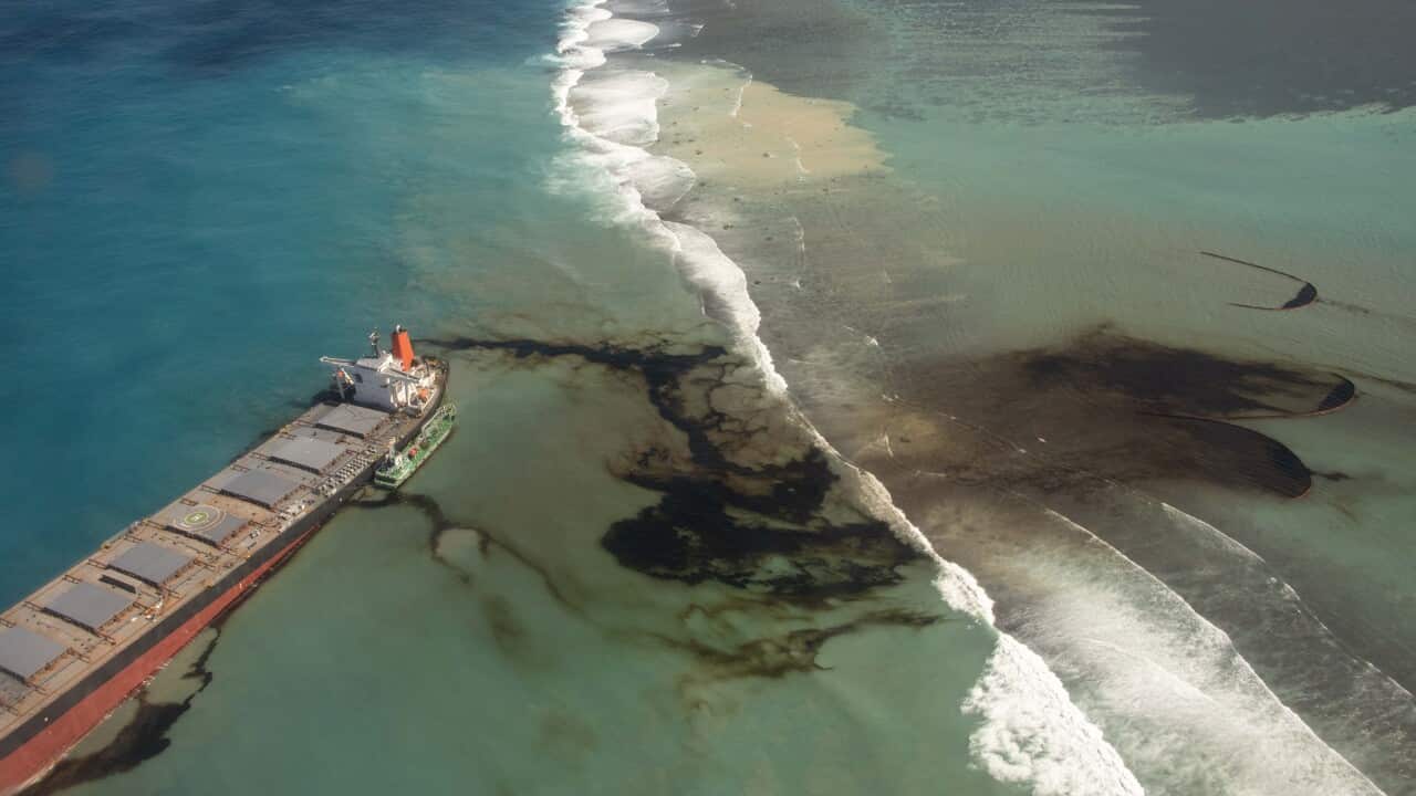 Oil leaking from the MV Wakashio, a bulk carrier ship that recently ran aground off the southeast coast of Mauritius.