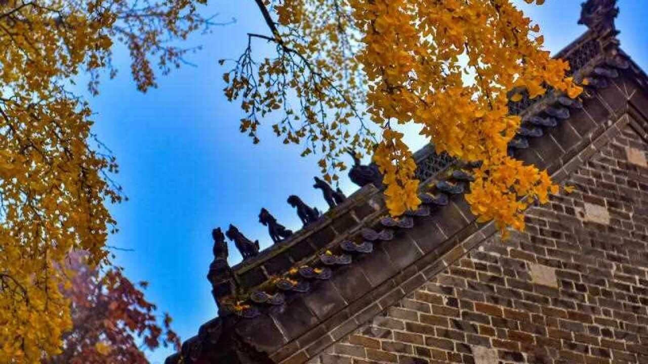 Image for read more article '更多內容'