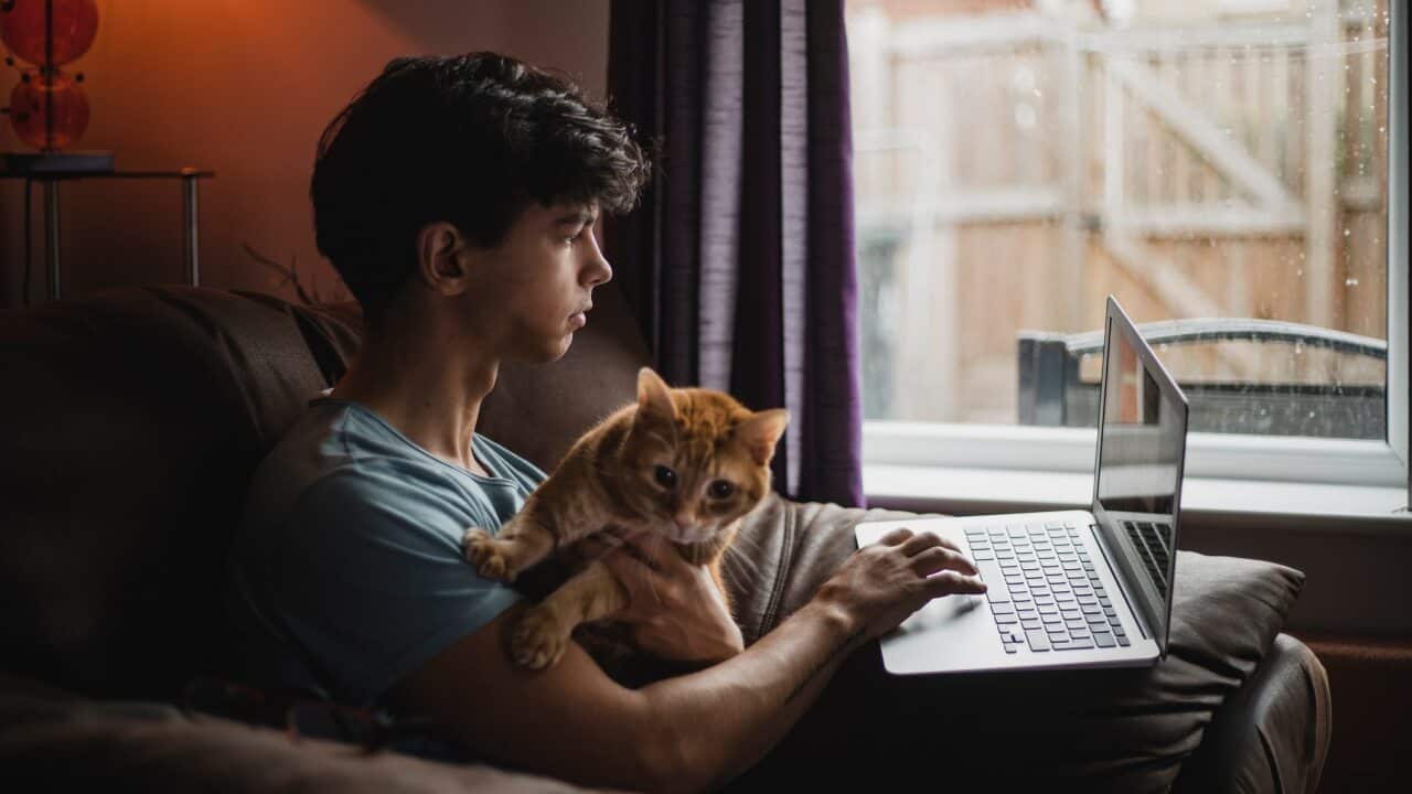 Image for read more article ''