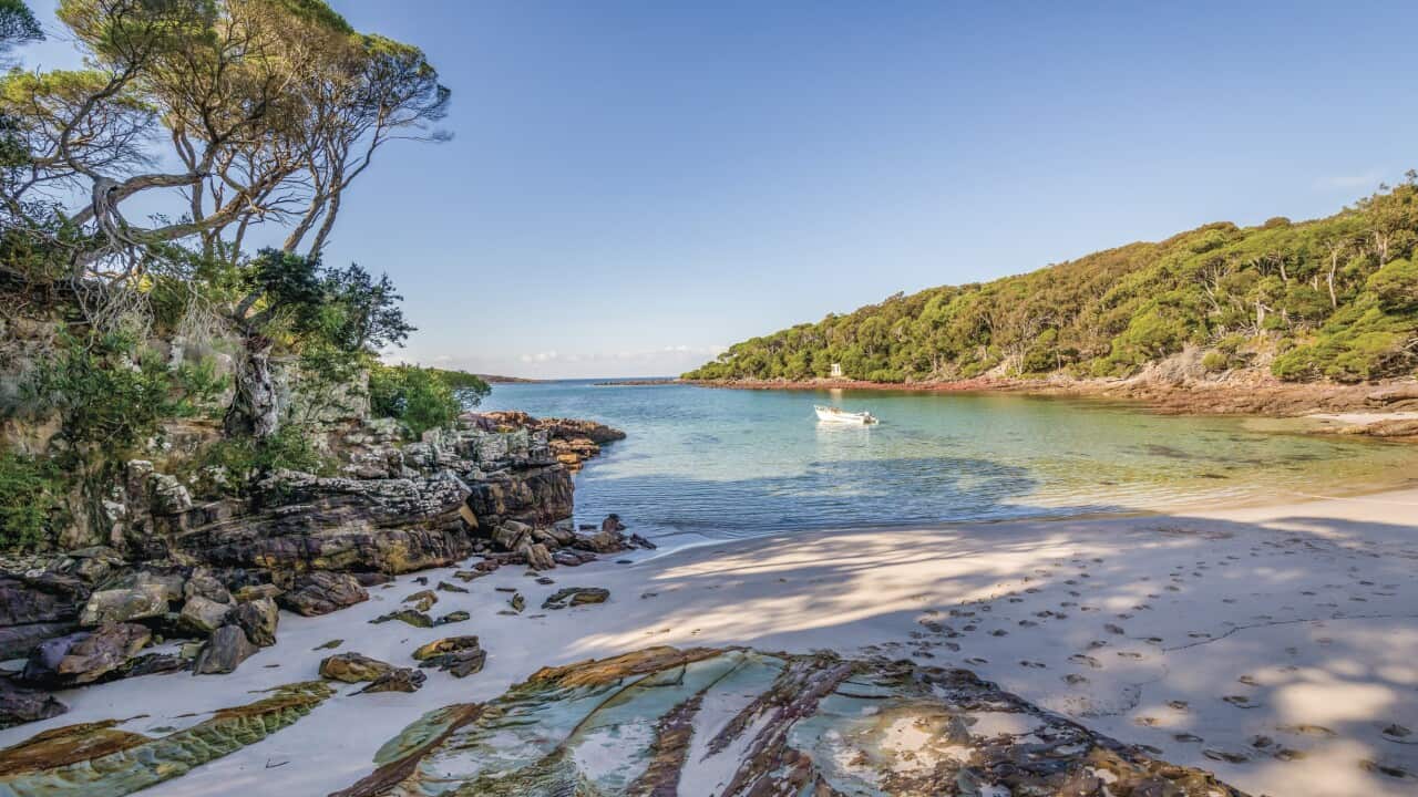 Image for read more article ''