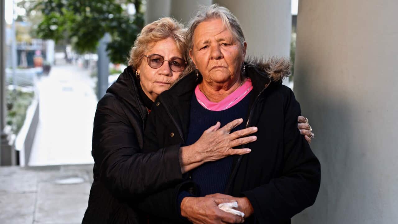 Ms Wynne grandmothers