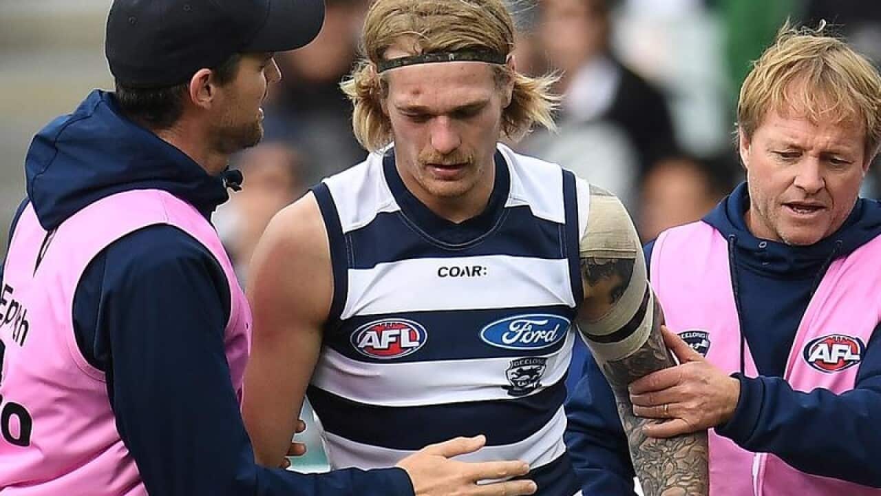 Tom Stewart of the Cats