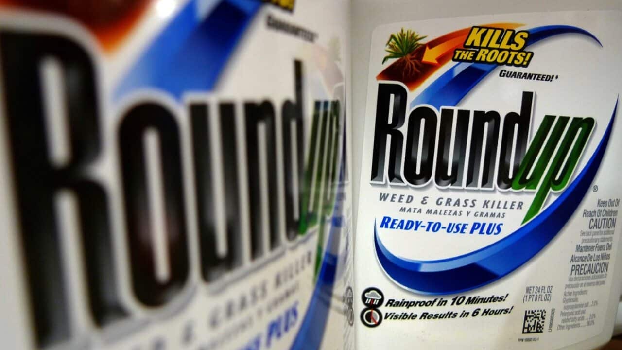 File photo of Roundup herbicide.