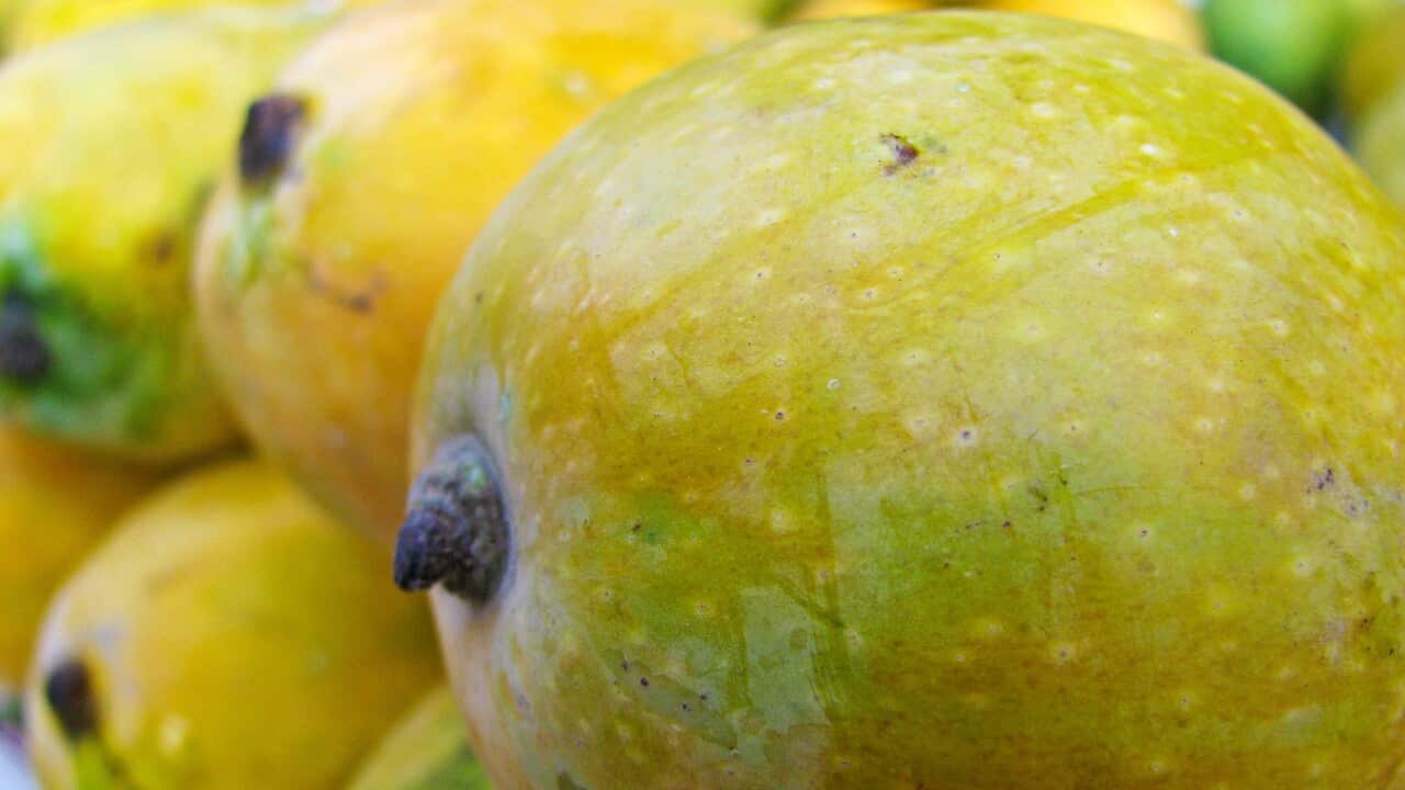 Pakistani mangoes