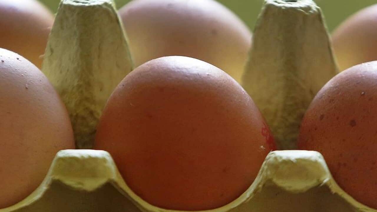 Eggs in carton