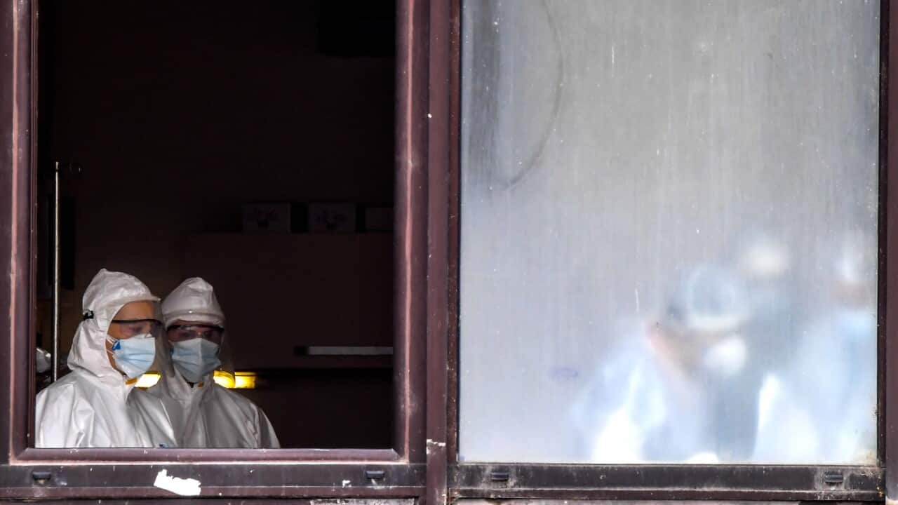 Homeland report in Macedonian 2 July, Macedonian, Australian Macedonian community,