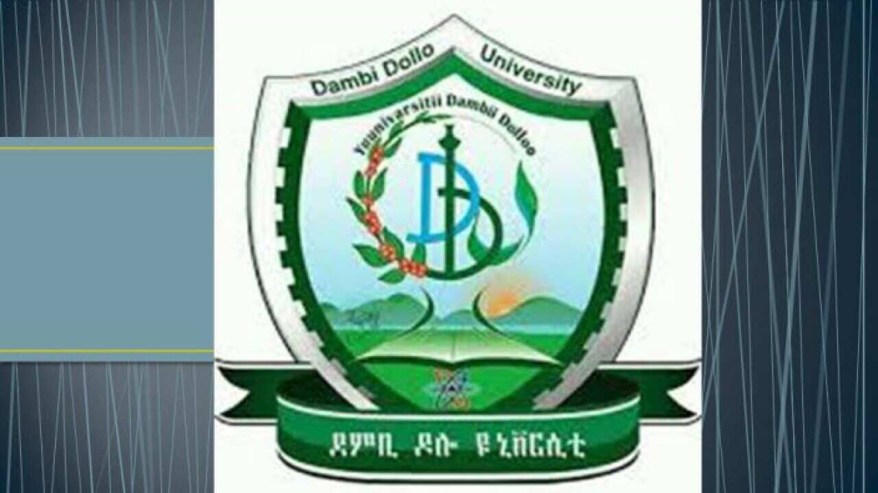 University of Dambi Dollo
