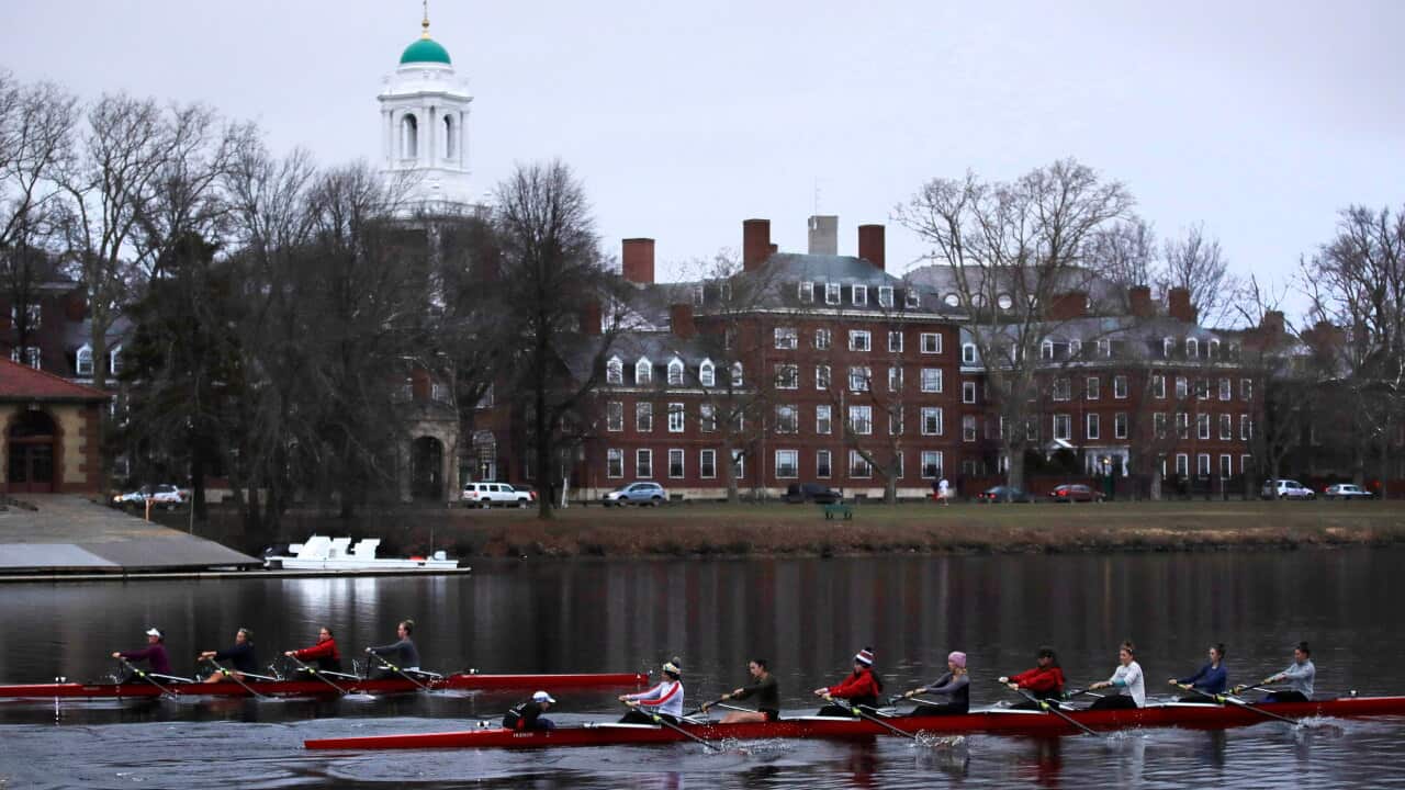 Harvard University.
