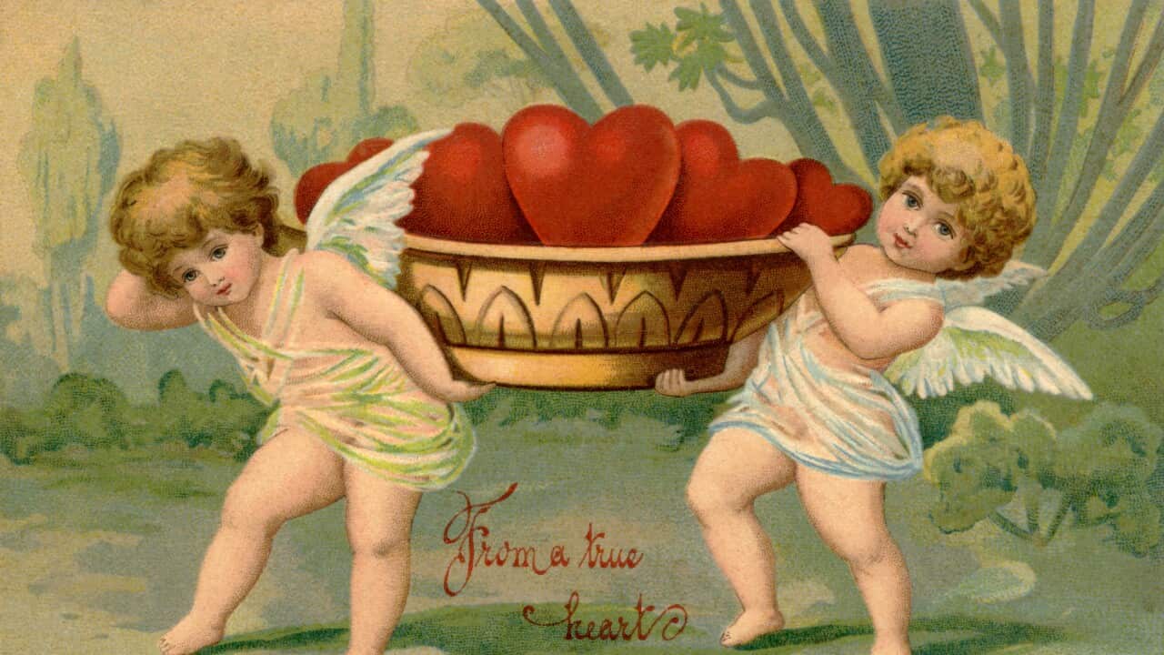 Image for read more article ''