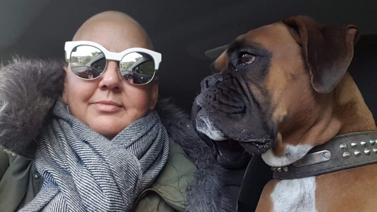 Image for read more article ''