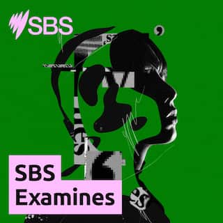 SBS Examines Tile 3000x3000.jpg