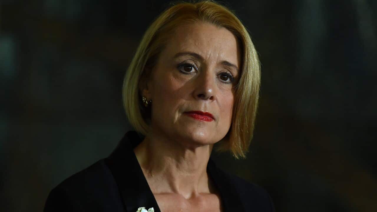 Labor's Home Affairs spokesperson Kristina Keneally at a press conference at Parliament House in Canberra.