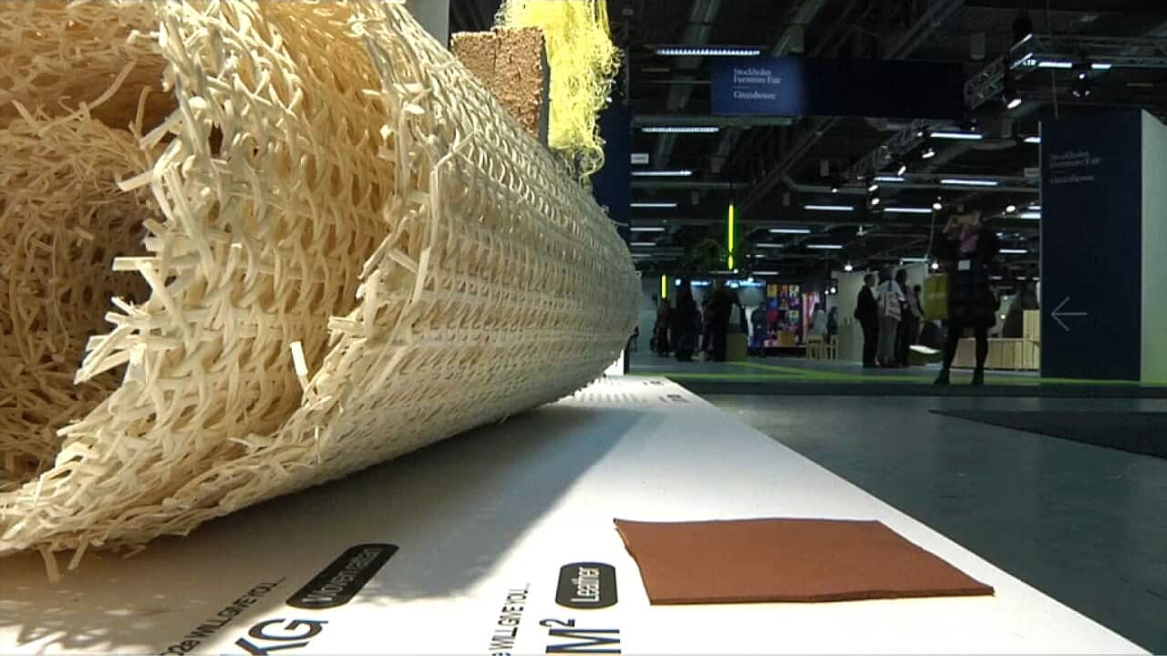 Production of two kilograms or a tiny patch of leather produce the same amount of CO2 (AP).jpg