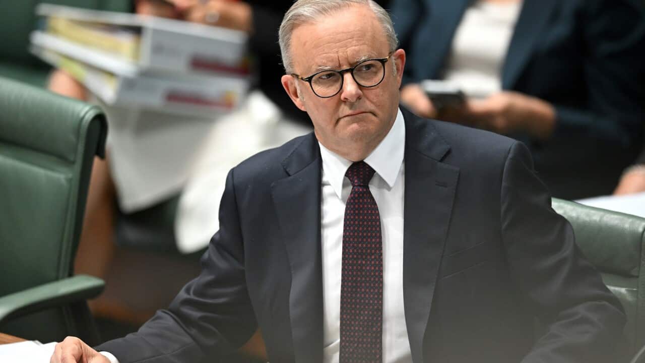 Prime Minister Anthony Albanese during Question Time.