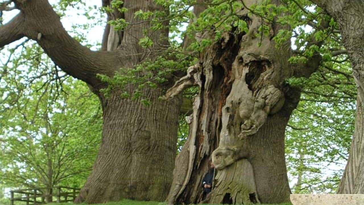 Image for read more article ''