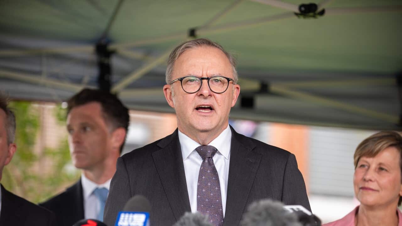 ANTHONY ALBANESE SYDNEY VISIT