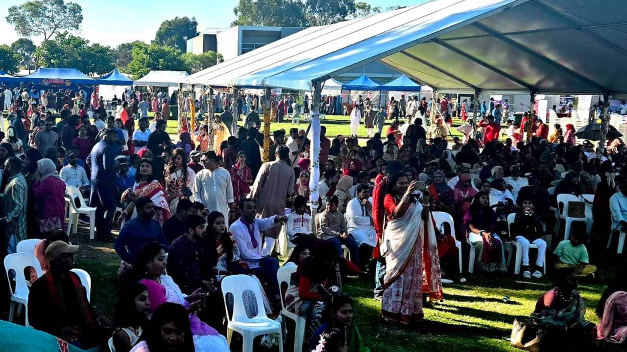 WhatsApp Image 2026-04-19 at 01.57.11 copy.jpeg