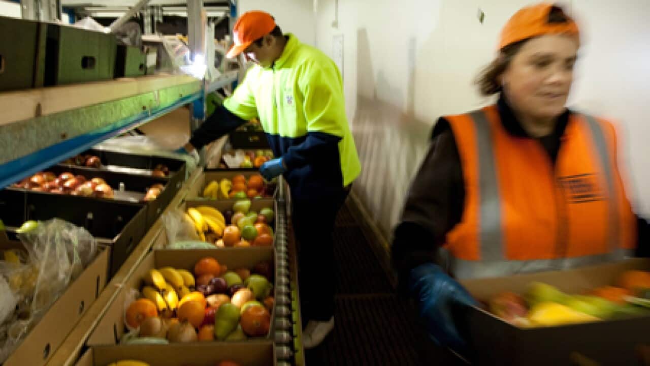 workers_farmers_L_090910_aap_1638589130